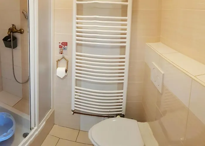 Wellness - Krkonose シャレー Rudník